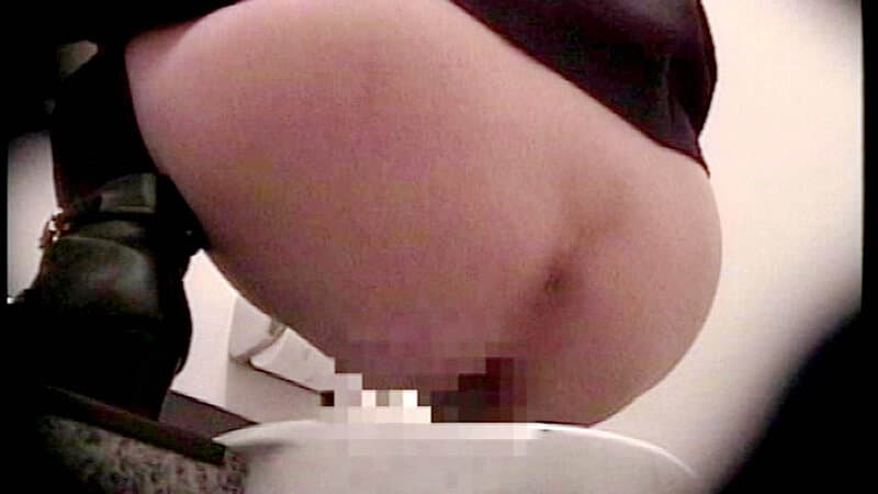 都内某所の仮設和式トイレ排泄盗撮スパイカメラ映像3 20人 サンプル画像 10