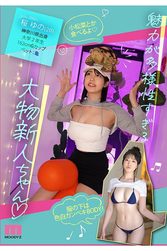 新人 あの…あの…声があ〇ちゃん？？ 愛嬌1億点 天真爛漫少女AVデビュー4時間SP 桜ゆの サンプル画像 2